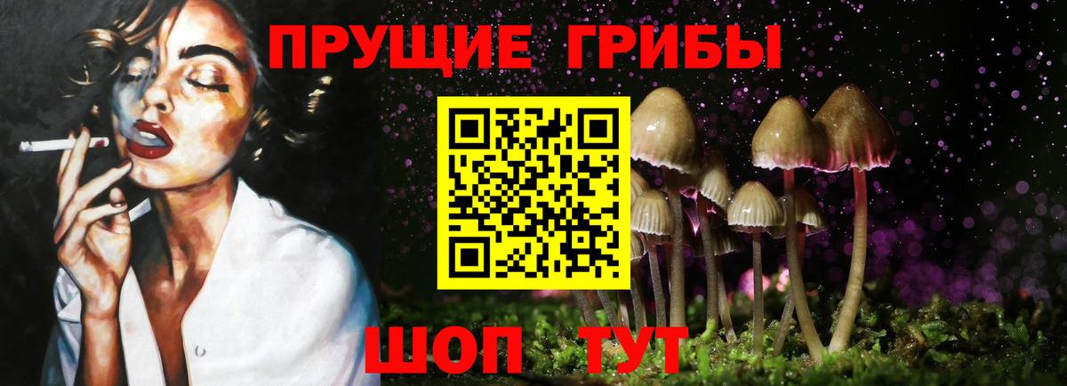 Галлюциногенные грибы GOLDEN TEACHER Мценск