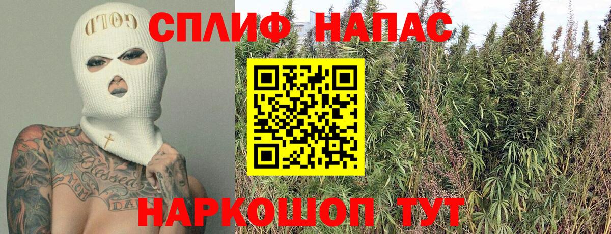 Бошки марихуана семена  Вход с VPN  Каннабис SATIVA & INDICA  Бошки Шишки White Widow  Мценск 